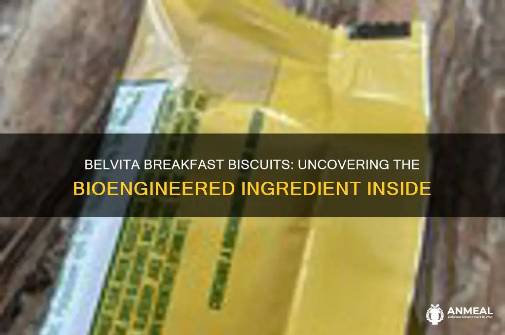 what is the bioengineered food ingredient in belvita breakfast biscuits
