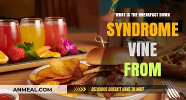 Breakfast Down Syndrome Vine: Origins and Impact Explained