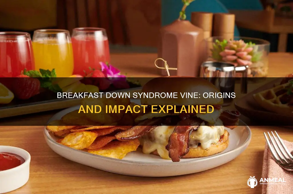 what is the breakfast down syndrome vine from
