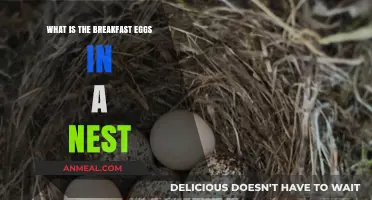Breakfast Eggs in a Nest: A Creative and Delicious Morning Recipe