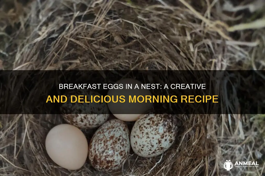 what is the breakfast eggs in a nest