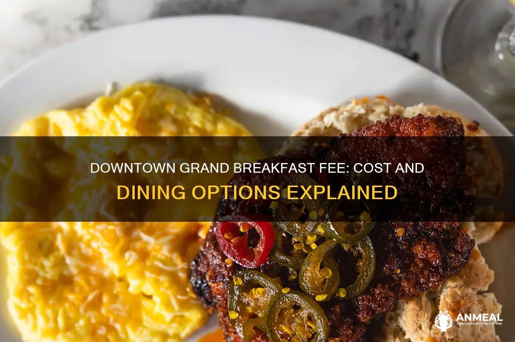 what is the breakfast fee at downtown grand