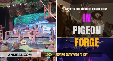 Discover Pigeon Forge's Most Affordable Dinner Show Experience