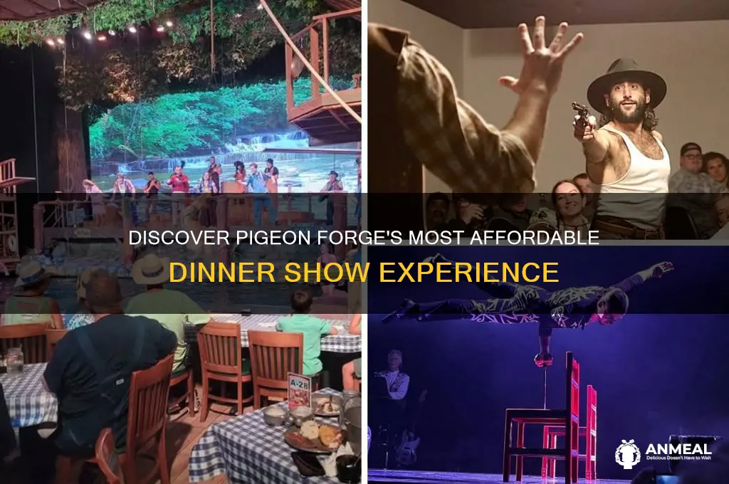 what is the cheapest dinner show in pigeon forge