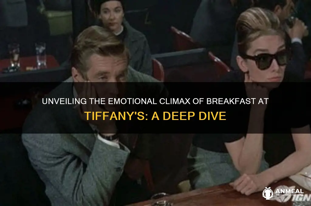 what is the climax of breakfast at tiffany