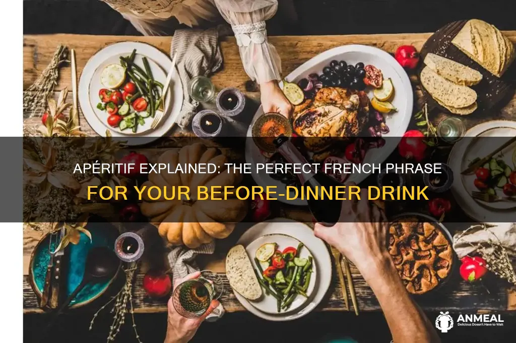 what is the correct french phrase for before dinner drink