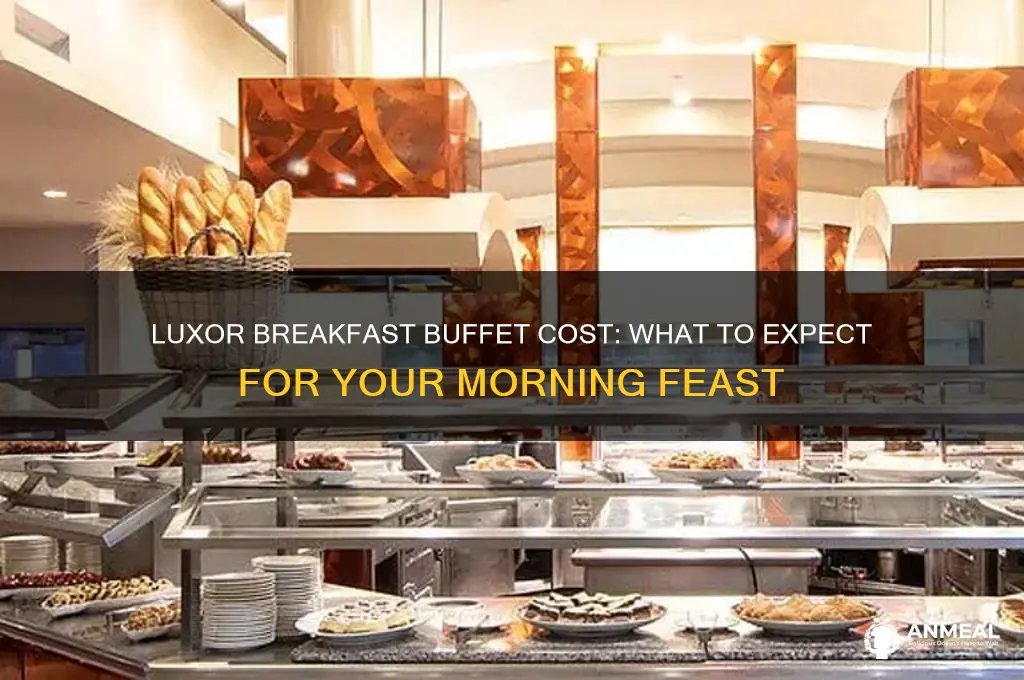 what is the cost of breakfast buffet at luxor