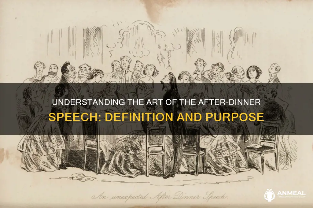 what is the definition of after-dinner speech