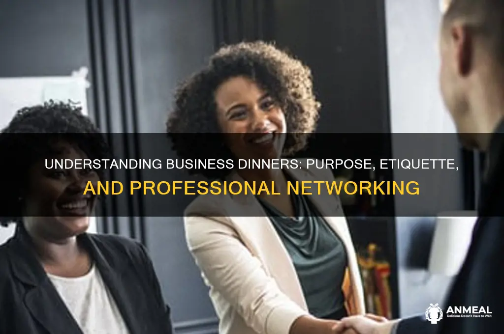 what is the definition of business dinner
