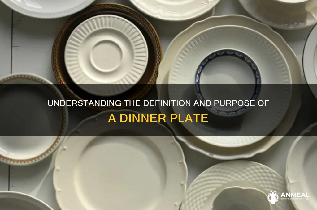 what is the definition of dinner plate