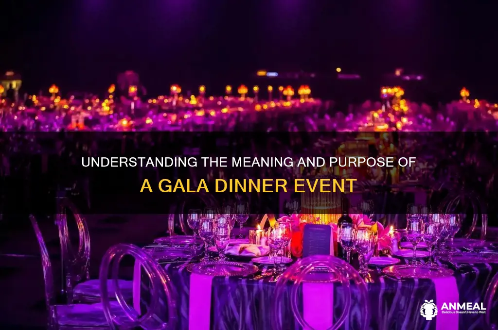 what is the definition of gala dinner