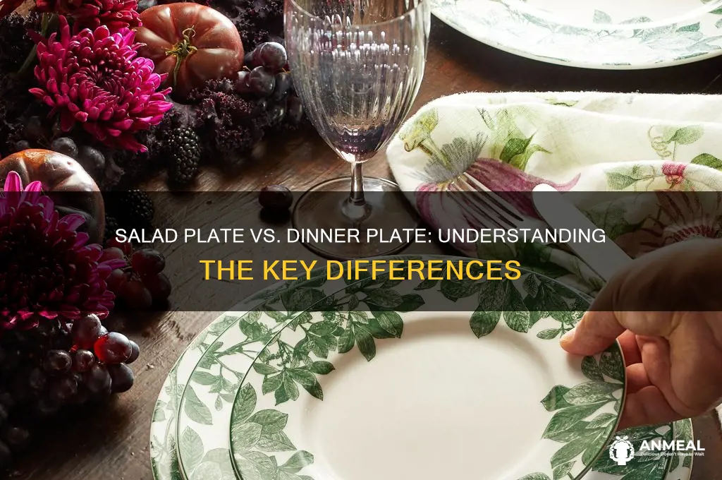 what is the difference between a salad plate and dinn
