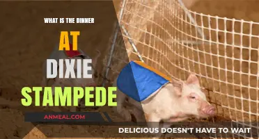 Experience the Magic: Dinner at Dixie Stampede Explained