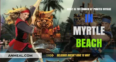 Pirates Voyage Myrtle Beach: Unveiling the Exciting Dinner Experience
