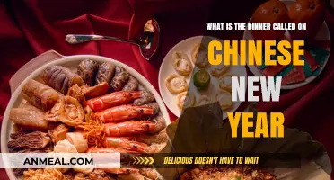 Chinese New Year Reunion Dinner: Traditions, Dishes, and Significance Explained