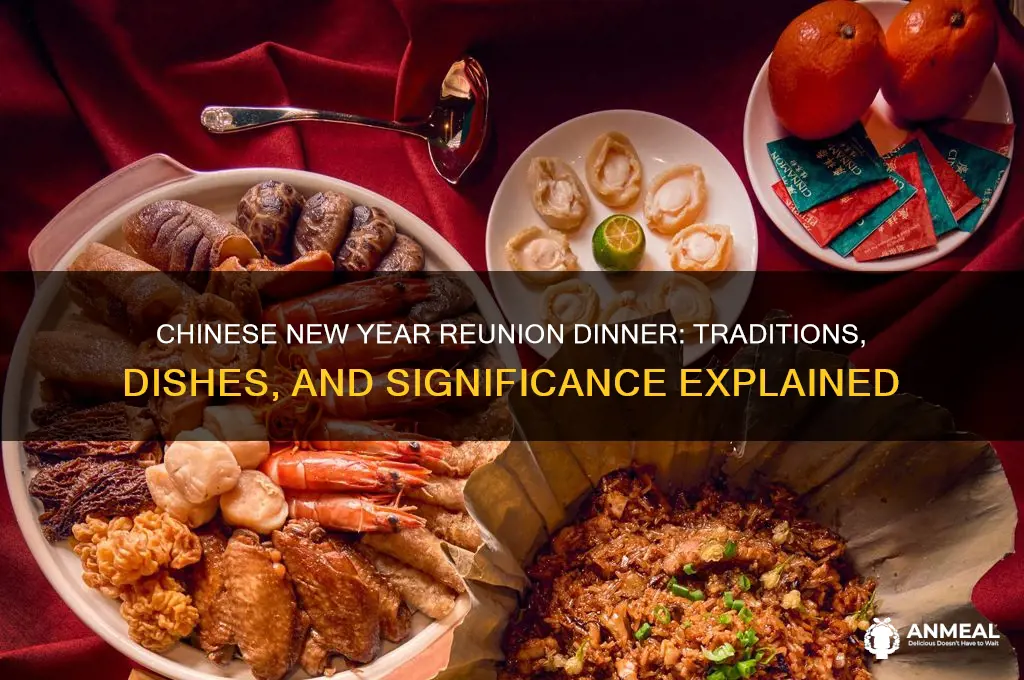 what is the dinner called on chinese new year