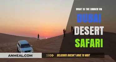 Discover the Delicious Dinner Experience on Dubai Desert Safari