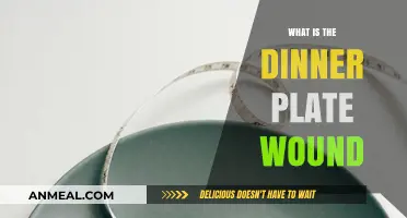 Understanding the Dinner Plate Wound: Causes, Treatment, and Recovery