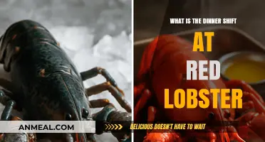 Exploring the Red Lobster Dinner Shift: Roles, Responsibilities, and Rewards