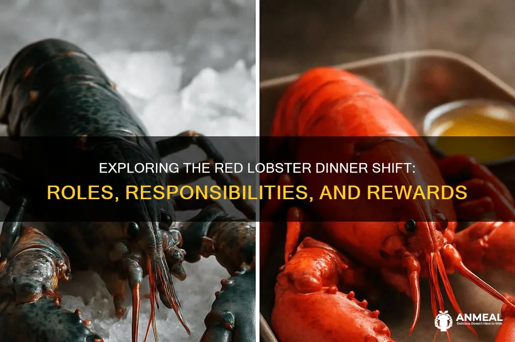 what is the dinner shift at red lobster