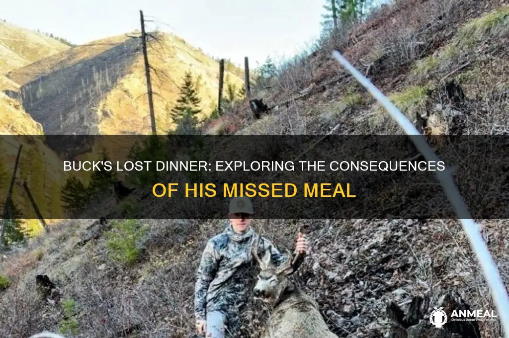 what is the effect of buck losing his dinner