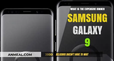 Samsung Galaxy S9: The Priciest Dinner You'll Ever Swipe For