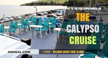 Unveiling the Signature Fish Dish from Calypso Cruise's Dinner Menu