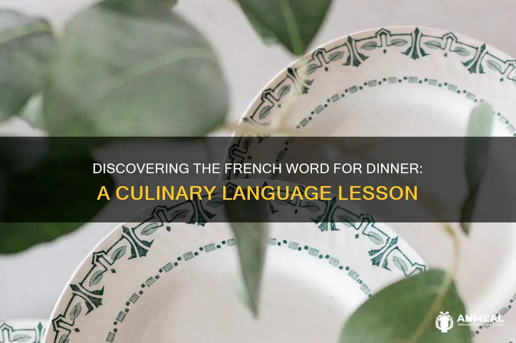 what is the french word for dinner