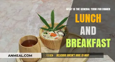 Understanding the Umbrella Term for Breakfast, Lunch, and Dinner Meals