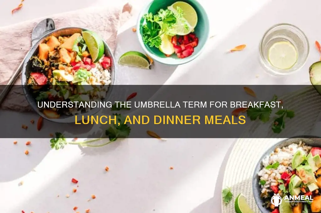 what is the general term for dinner lunch and breakfast
