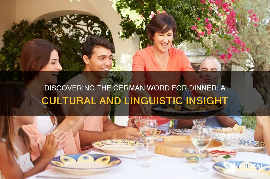 what is the german word for dinner