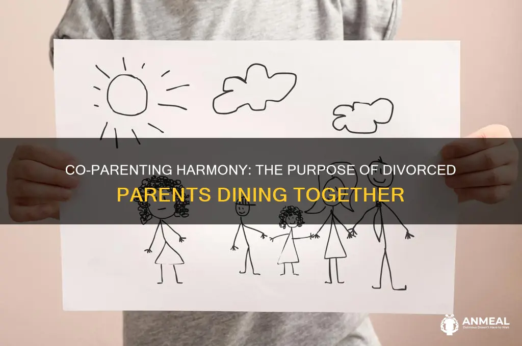 what is the goal of divorced parents having dinner togehter