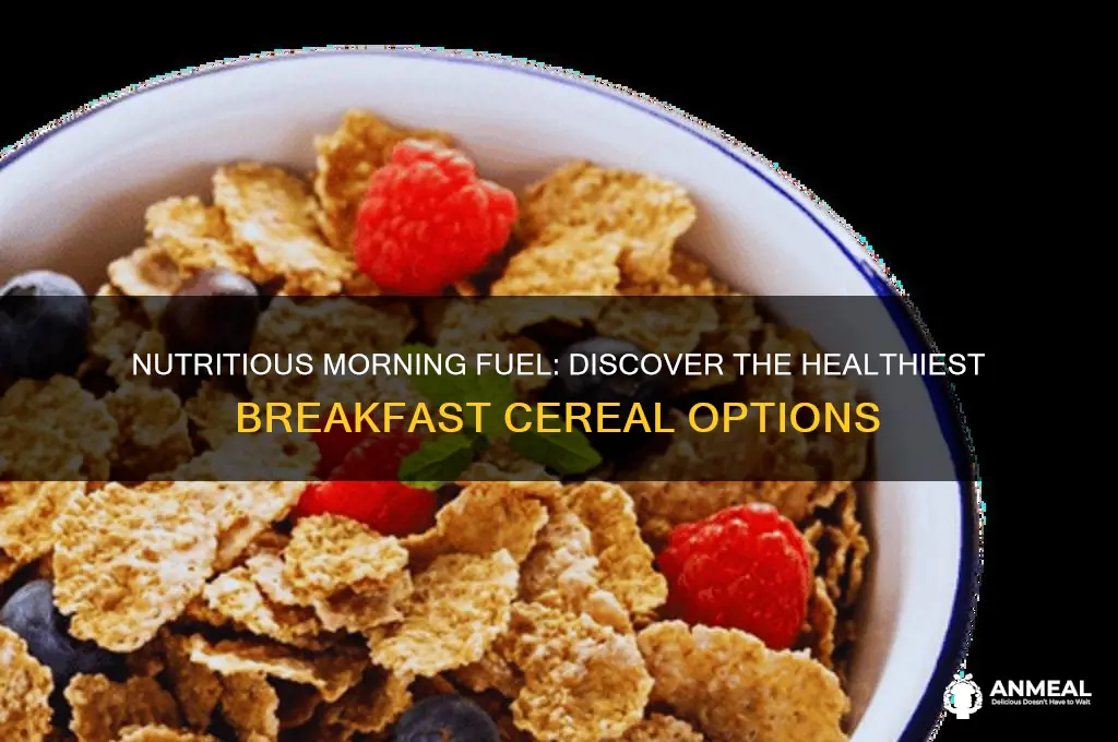 what is the healthiest breakfast ceral