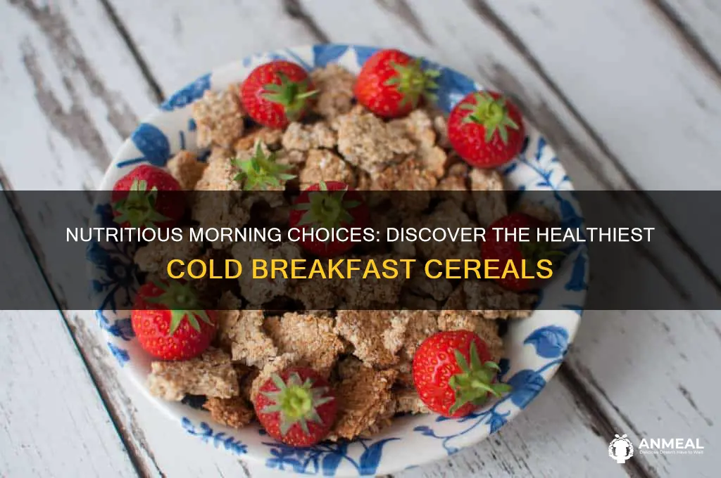 what is the healthiest cold breakfast cereal