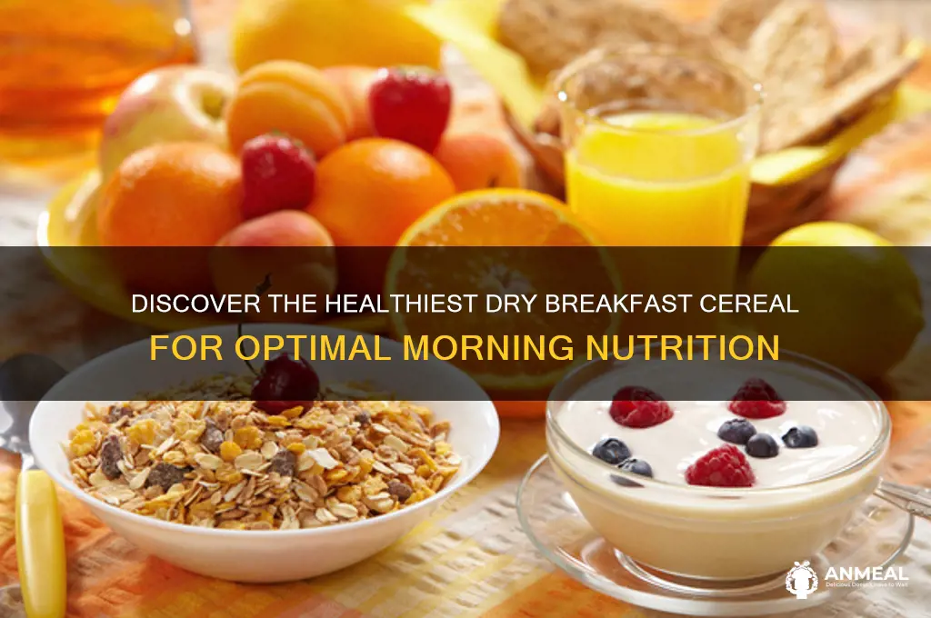 what is the healthiest dry breakfast cereal