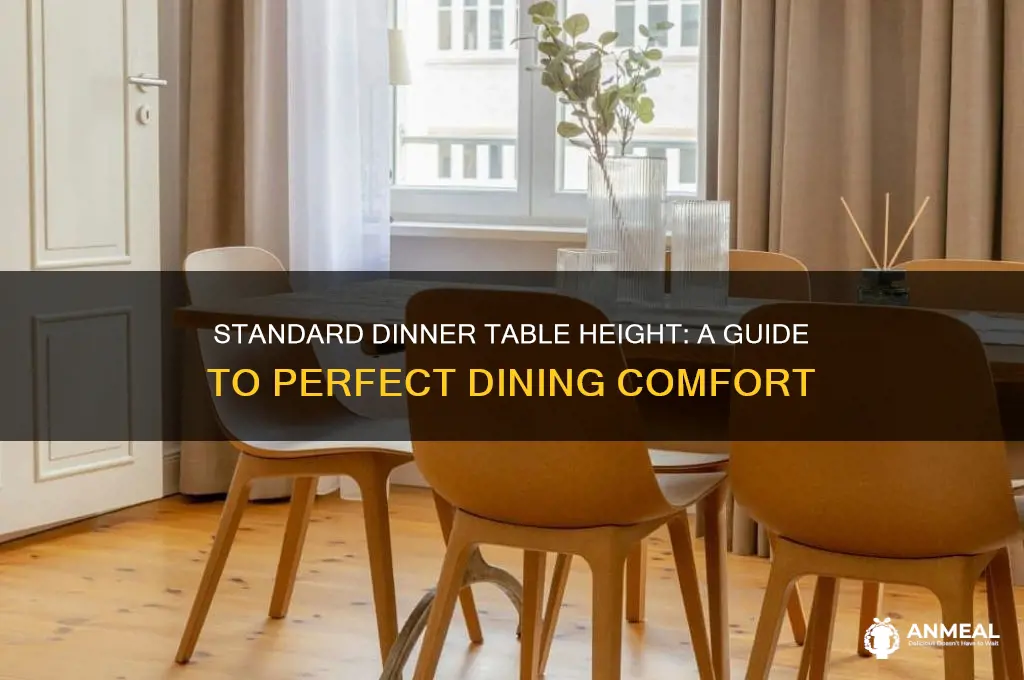 what is the height of a dinner table