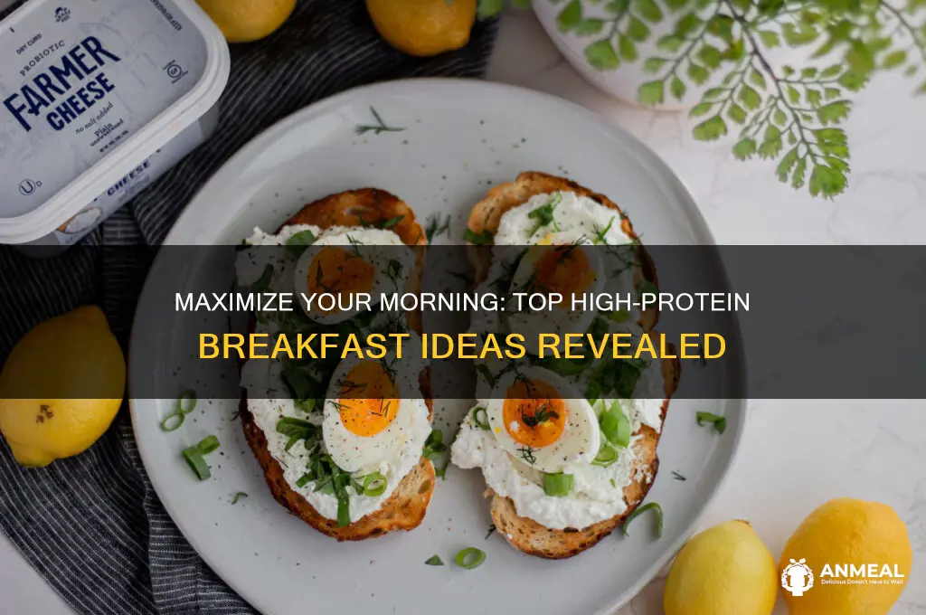 what is the highest protein breakfast