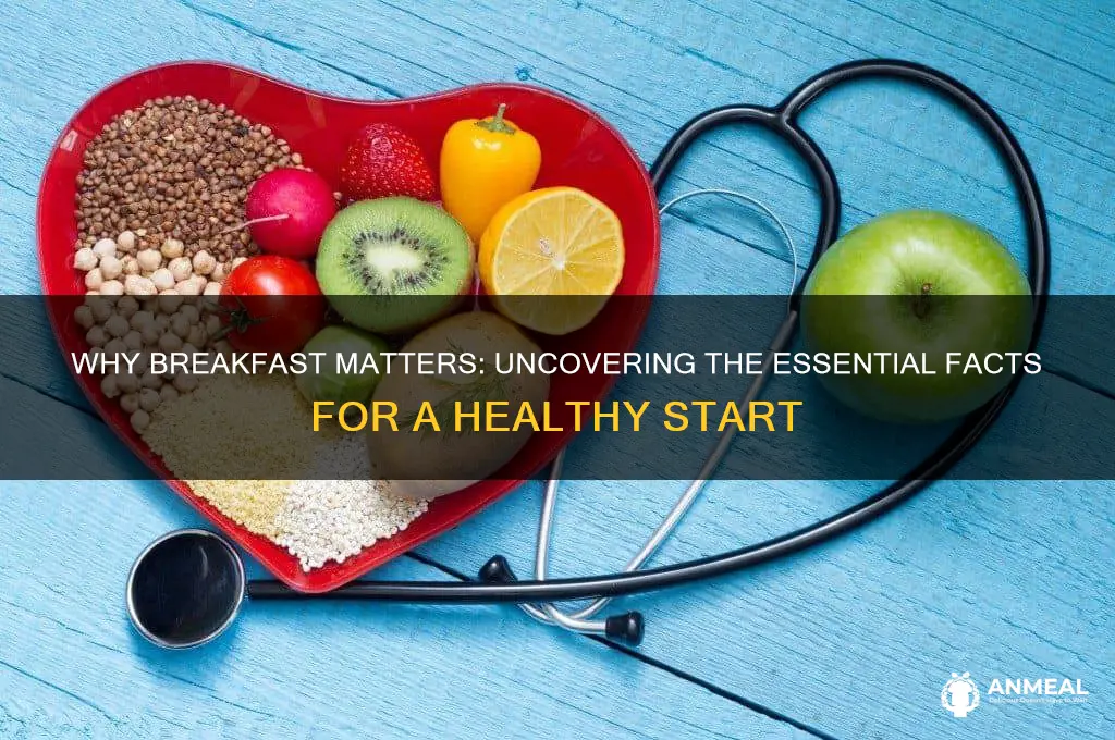 what is the importance of breakfast facts