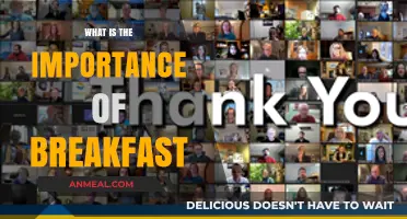 Why Breakfast is Essential for Energy, Focus, and Daily Success