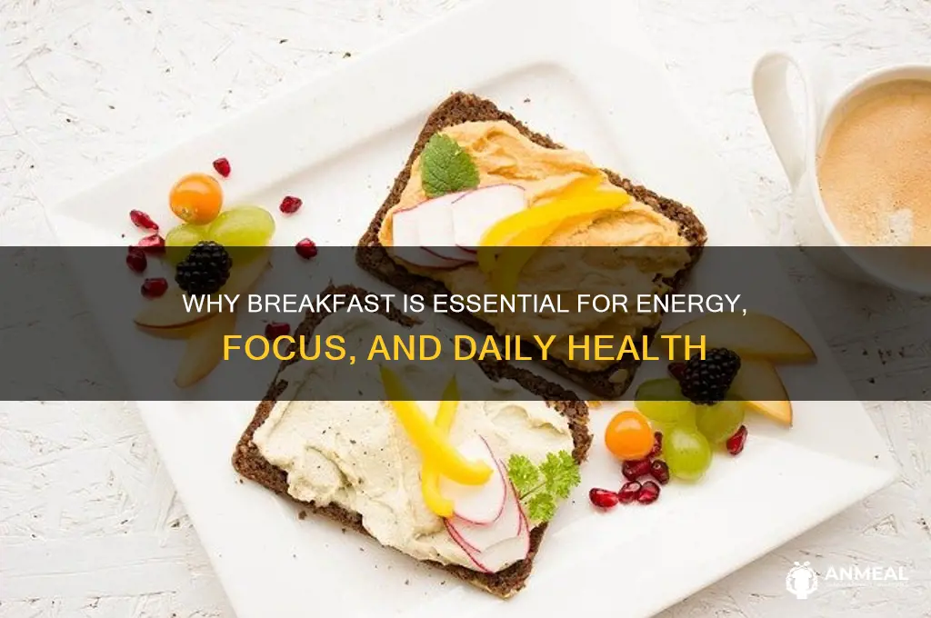 what is the importance of earing breakfast