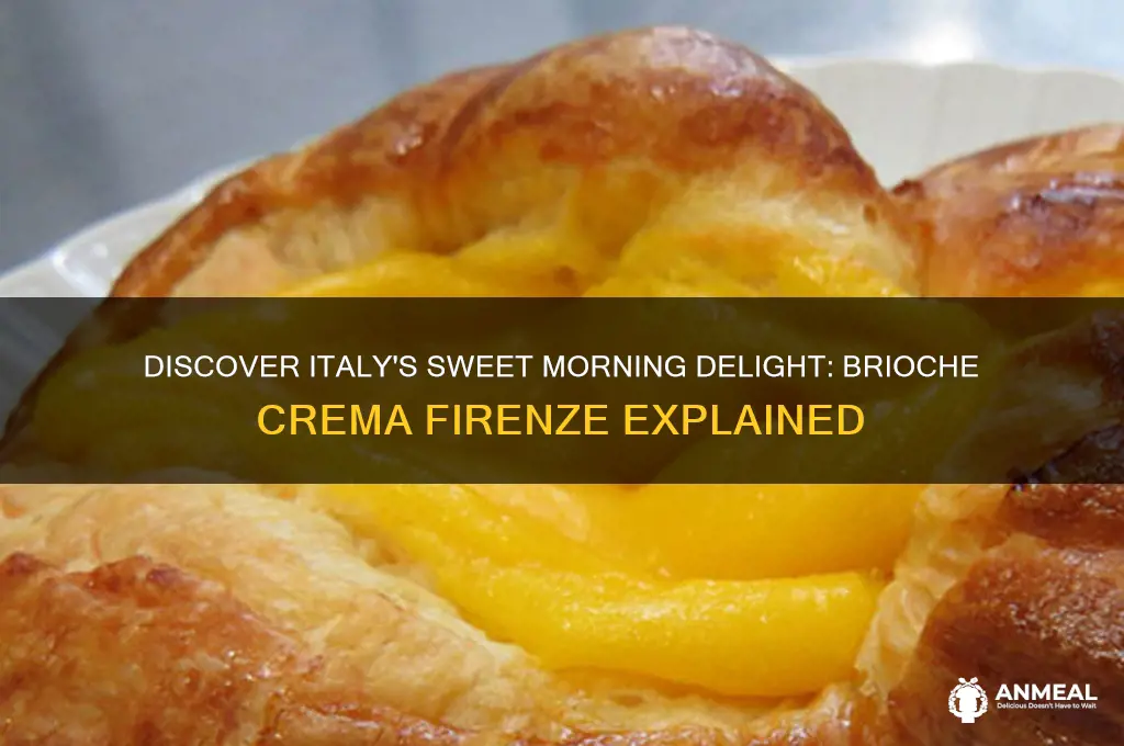 what is the italian breakfast brioche crema firenze