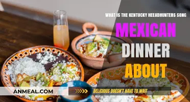 Mexican Dinner" by Kentucky Headhunters: Unraveling the Story Behind the Son