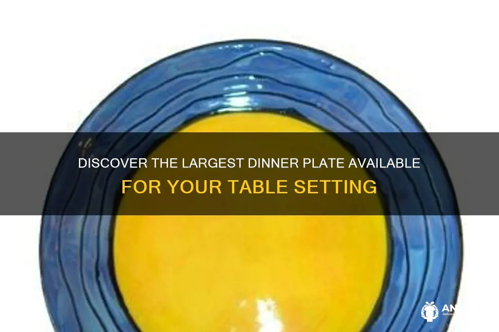 what is the largest dinner plate on the market