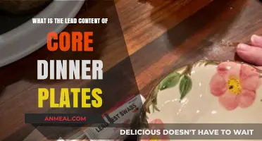 Core Dinner Plates: Understanding Lead Content and Safety Concerns