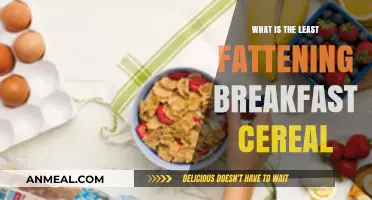 Healthy Breakfast Choices: Discover the Least Fattening Cereal Options