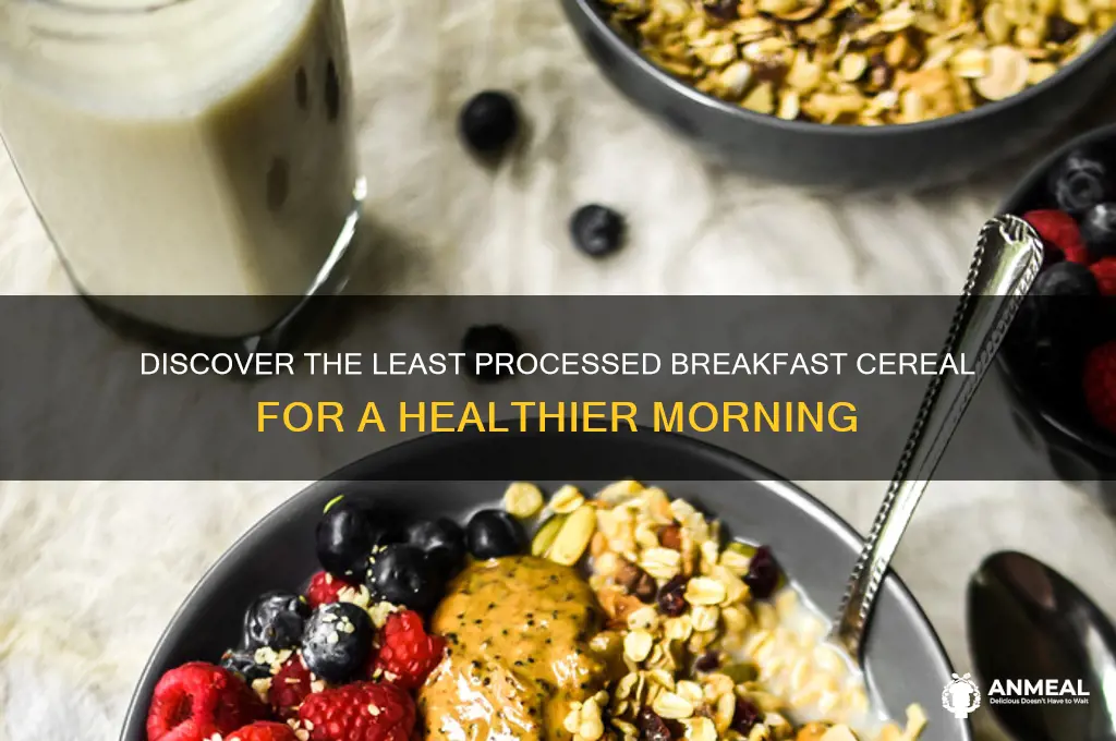 what is the least processed breakfast cereal