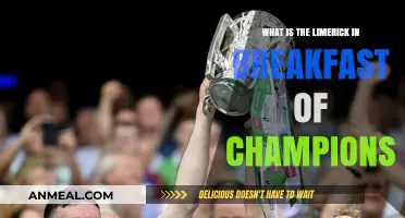 Exploring the Limerick's Role in Breakfast of Champions by Vonnegut