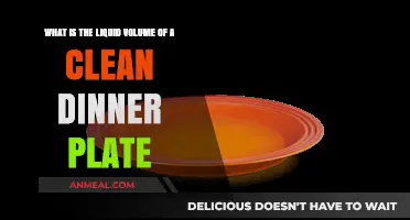 Measuring Liquid Capacity: How Much Fluid Fits on a Clean Dinner Plate?