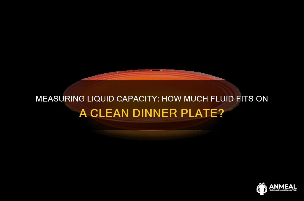 what is the liquid volume of a clean dinner plate