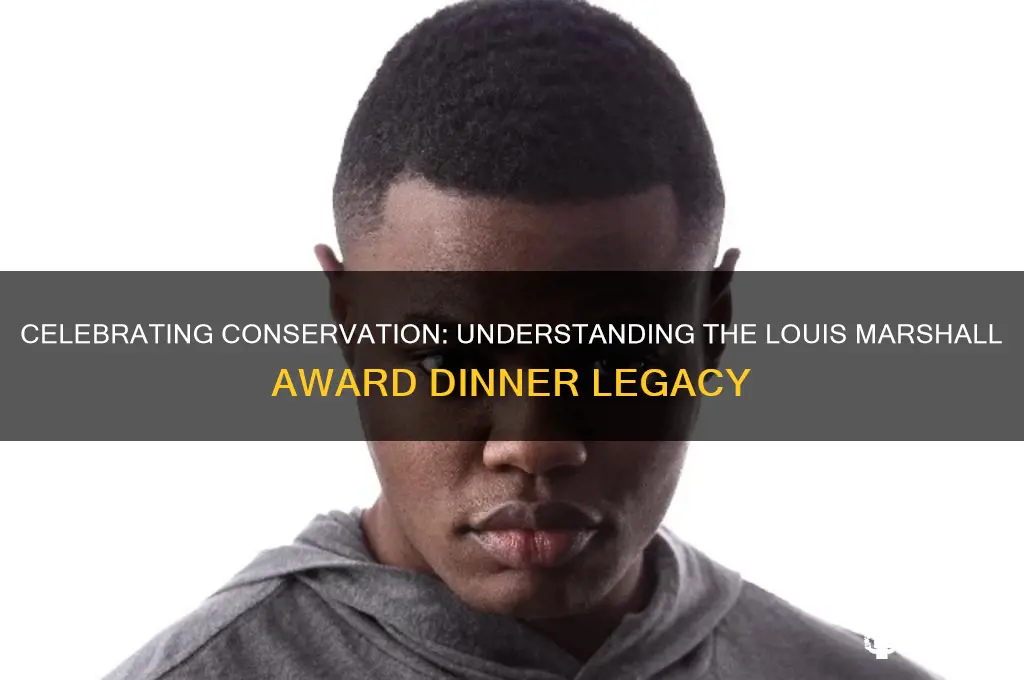 what is the louis marshall award dinner